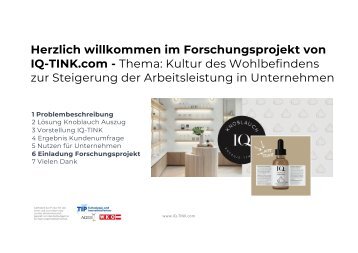 IQ-TINK Präsentation_2024_Forschungsprojekt - Gesundheit und Energie von Mitarbeitern zu fördern und dadurch die Produktivität in den Unternehmen steigern