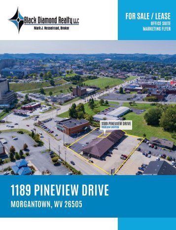 1189 Pineview Drive Marketing Flyer