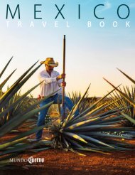 Mexico Travel Book Summer-Fall 2019