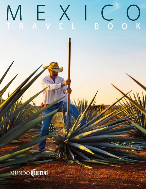 Mexico Travel Book Summer-Fall 2019