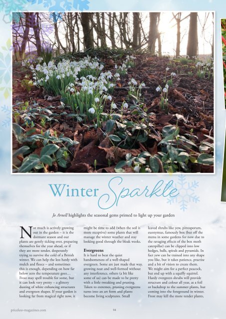 Wealden Times | WT260 | January 2024 | Good Living Supplement inside