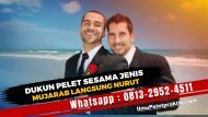 0813-2952-4511 Dukun Pelet Sesama Jenis Tanpa Pantangan Bisa Langsung kena