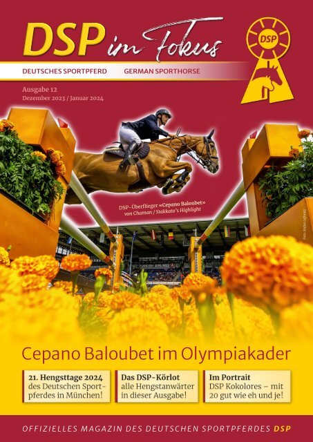 DSP IM FOKUS - Ausgabe Dezember 2023