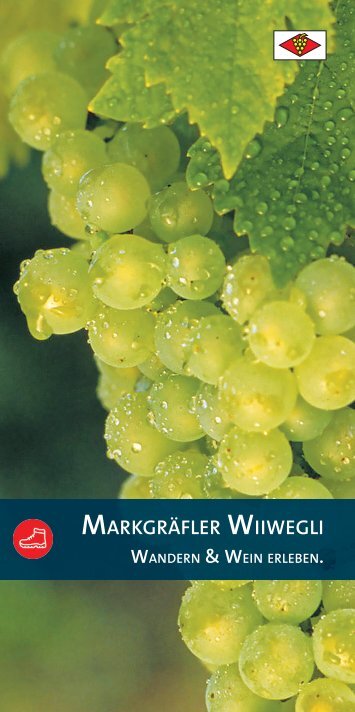 Markgräfler Wiiwegli 2024 - Wandern & Wein erleben