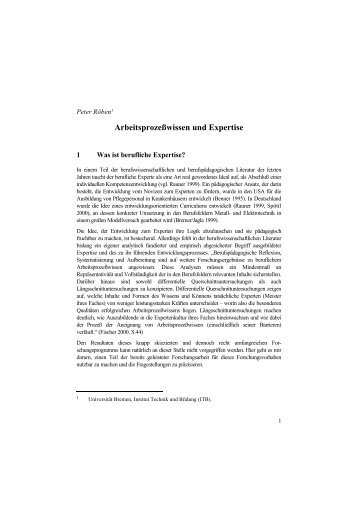 Arbeitsprozeßwissen und Expertise - Institut Technik und Bildung ...