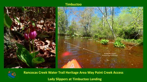 NJ Pine Barrens Maritime-Culture-Landscape 1 1 2024