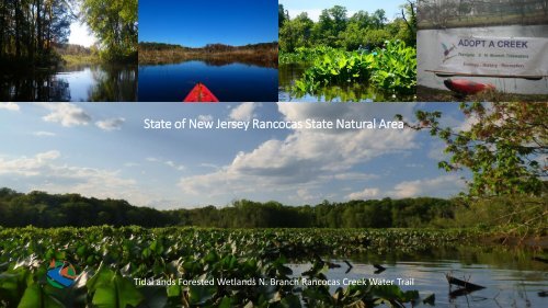 NJ Pine Barrens Maritime-Culture-Landscape 1 1 2024