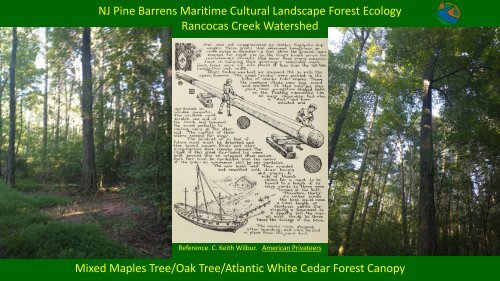 NJ Pine Barrens Maritime-Culture-Landscape 1 1 2024