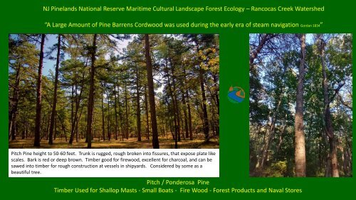 NJ Pine Barrens Maritime-Culture-Landscape 1 1 2024