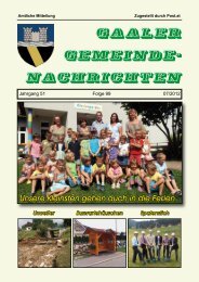 Ausgabe 07/2012 [.pdf - 3.3 MB] - Gaal