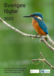 Sveriges fåglar 2023