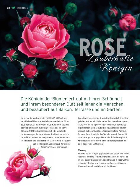 Gartenmagazin von Liebe deinen Garten (Ausgabe 2024 - AT)