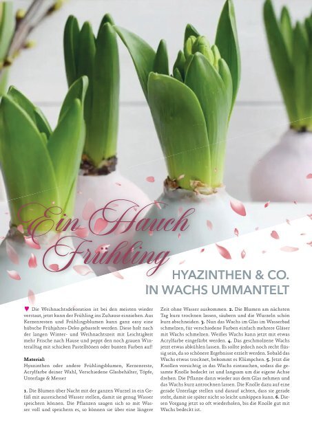 BREMISSIMIA Magazin | Januar - Februar 2024