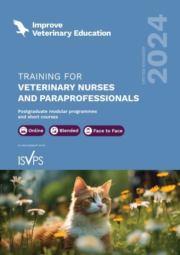 IVE_UK Nurse Brochure Jan24