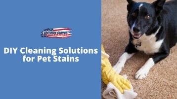 DIY Cleaning Solutions for Pet Stains