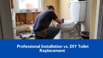 Professional Installation vs. DIY Toilet Replacement 