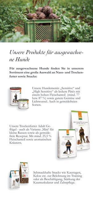 defu Broschüre - Hund Junior