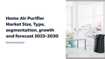 Home-Air-Purifier-Market-Size-Type-segmentation-growth-and-forecast-2023-2030 (1)