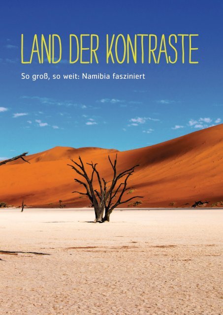 Afrika und Indischer Ozean mit STA Travel