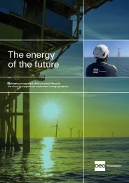 OEG Renewables Corporate Brochure