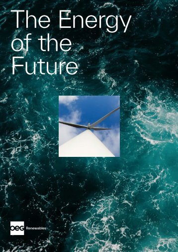 OEG Renewables Corporate Brochure