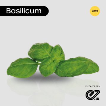 Basilicum 2024