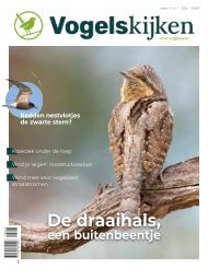 Inkijkexemplaar Vogelskijken Magazine