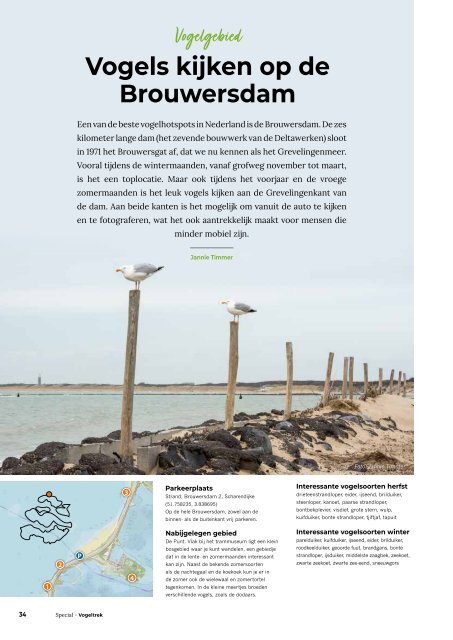 Inkijkexemplaar Vogelskijken Magazine