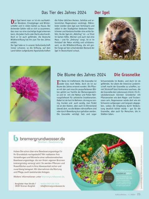 Lilienthaler - Das Magazin 1-2024