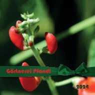 Gartenbroschüre der Gärtnerei Pfandl - Bad Ischl - 2024