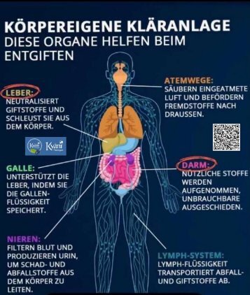  Zellreinigung  auf natürliche Weise und OHNE Chemie. Körpereigene Kläranlage auf komplett natürliche Weise. Null Chemie. Kein Medikament.