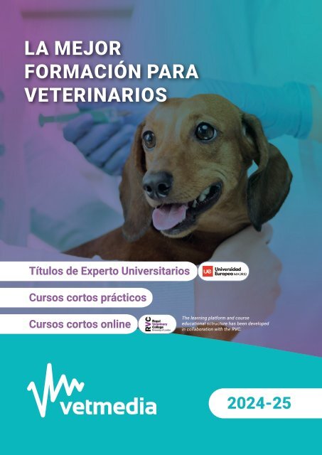 VM_ES_Brochure_Feb_2024