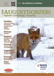 Der Augustdorfer: Der Rotfuchs im Winter