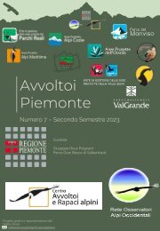 AVVOLTOI Piemonte n. 7 | Dicembre 2023