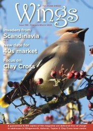 Wings Issue 158 February/March 2024