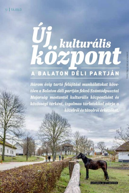 Budapest Funzine 2024 február-március