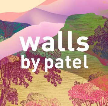 Wall by Patel 3