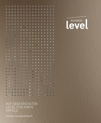 Business Level — Gmunden