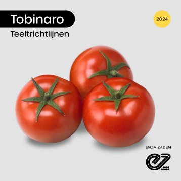 Teeltrichtlijnen tomaat Tobinaro