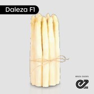 Leaflet Daleza F1