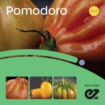 Brochure Pomodoro 2024