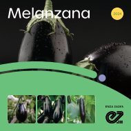 Brochure Melanzana 2024