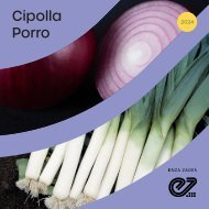Brochure Cipolla e Porro 2024
