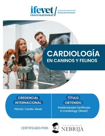 LATAM -Folleto Postgrado Cardio