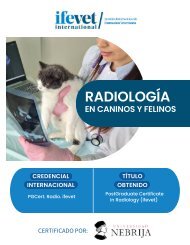 LATAM -Folleto Postgrado Radiología