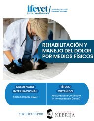 LATAM -Folleto Postgrado Rehabilitación