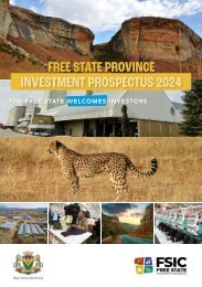 Free State Province Investment Prospectus 2024