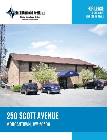 250 Scott Avenue Marketing Flyer