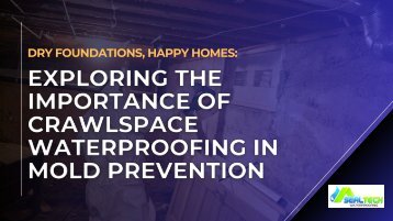 Dry Foundations, Happy Homes: Exploring the Importance of Crawlspace Waterproofing in Mold Prevention