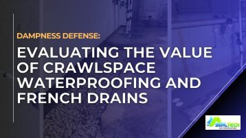 Dampness Defense: Evaluating the Value of Crawlspace Waterproofing and French Drains